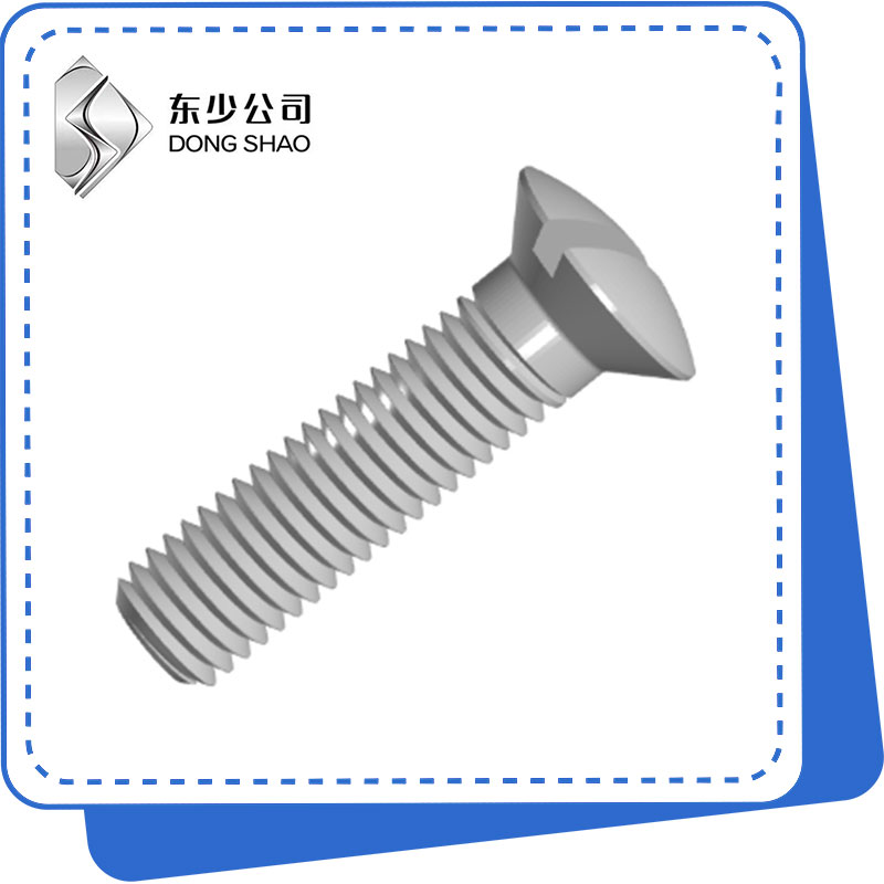 Hoʻokiʻekiʻe ʻia ʻo Countersunk Head Screws